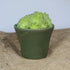 Mini Moss Green Fluted Handmade Ceramic Plant Pot